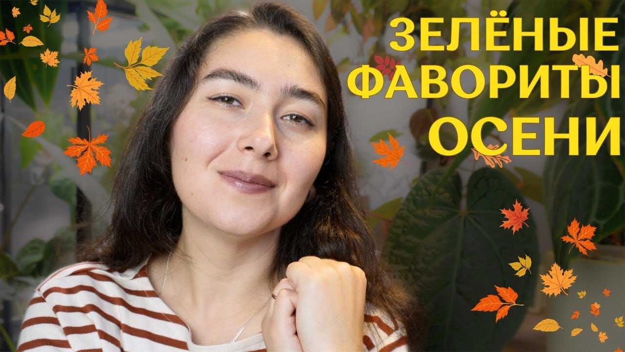 САМАЯ долгожданная ХОЙЯ, семена на ДИСХИДИИ, взрослеющие АНТУРИУМЫ  | ЛЮБИМЫЕ РАСТЕНИЯ осени 2024 ✨