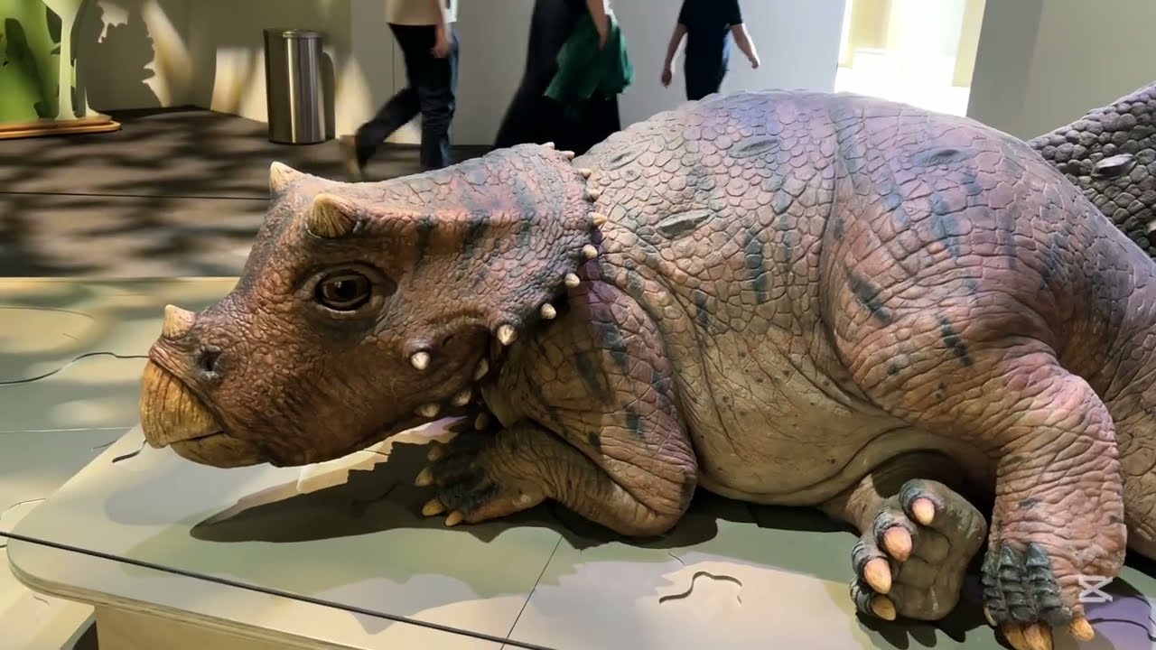 Step Inside Abu Dhabi Natural History Museum | Full Walkthrough – Dinosaurs, Fossils & Wonders