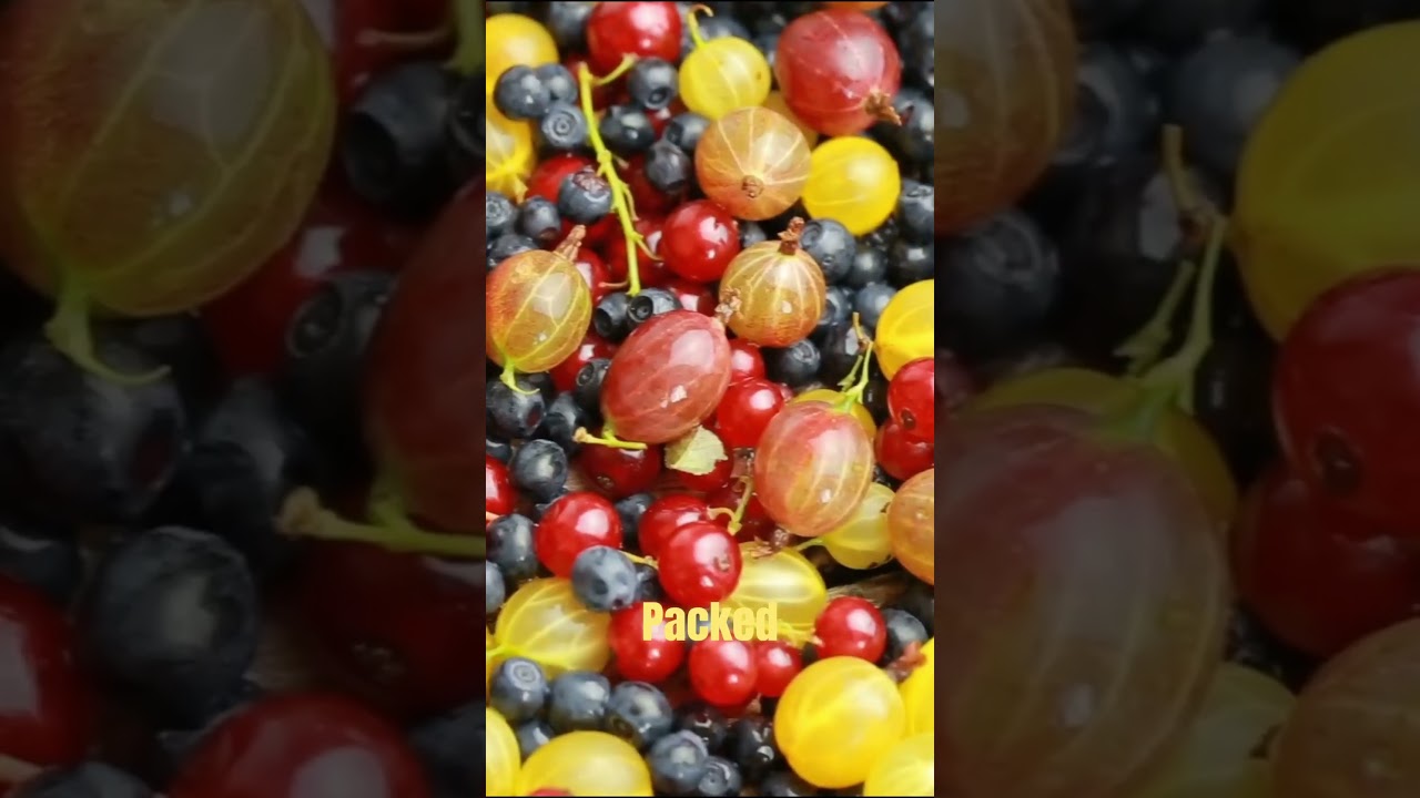 Mitolyn: Stimulant Free Mitochondrial Booster for Clean, Natural Energy