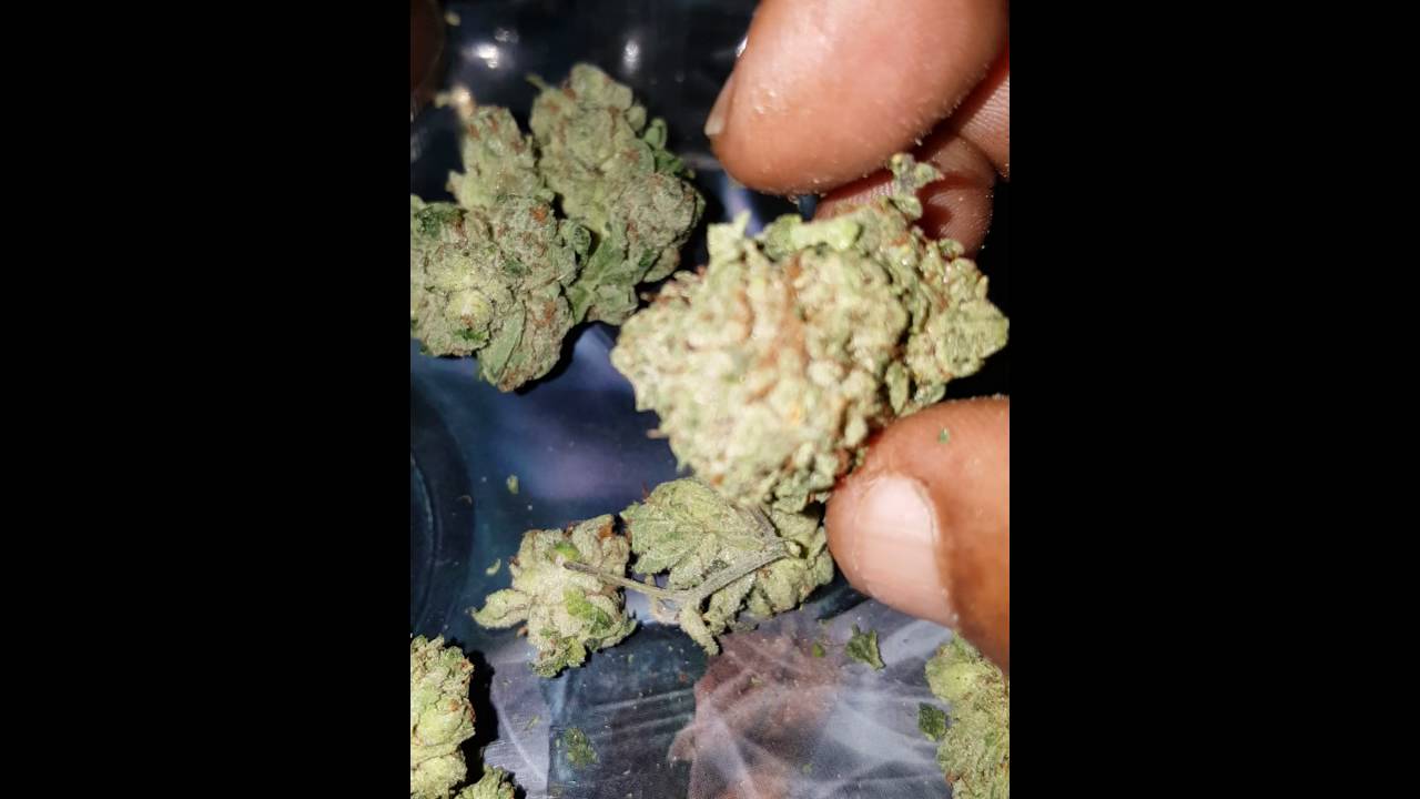 EPIC OG and BTY OG