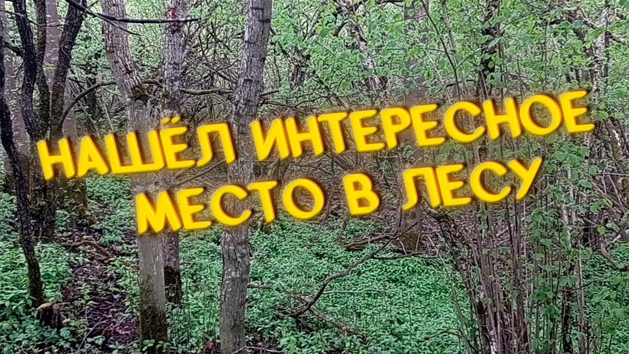 Нашёл интересное место в лесу