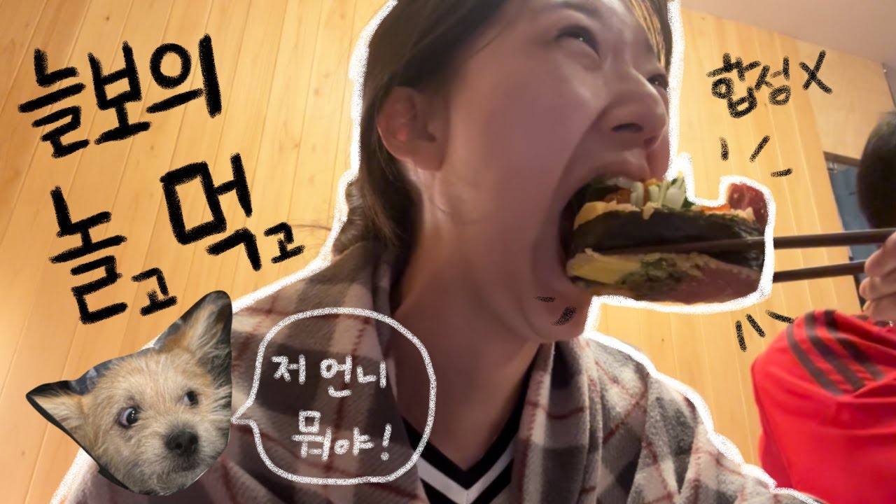 늘보의 놀고 먹고 | 일상 브이로그, 가평 애견동반, 헬스, 오마카세, 주말 나들이 vlog