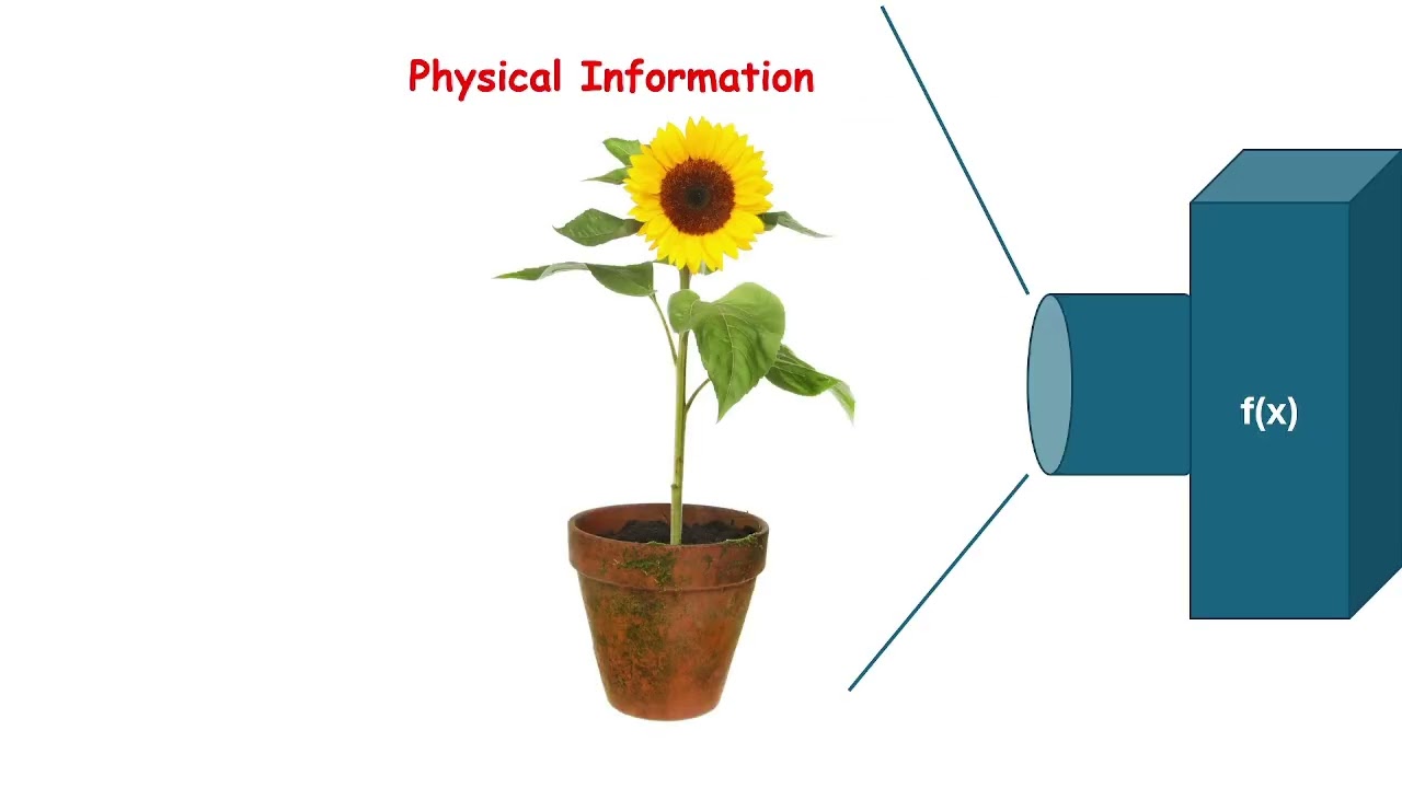 Digital phenotyping