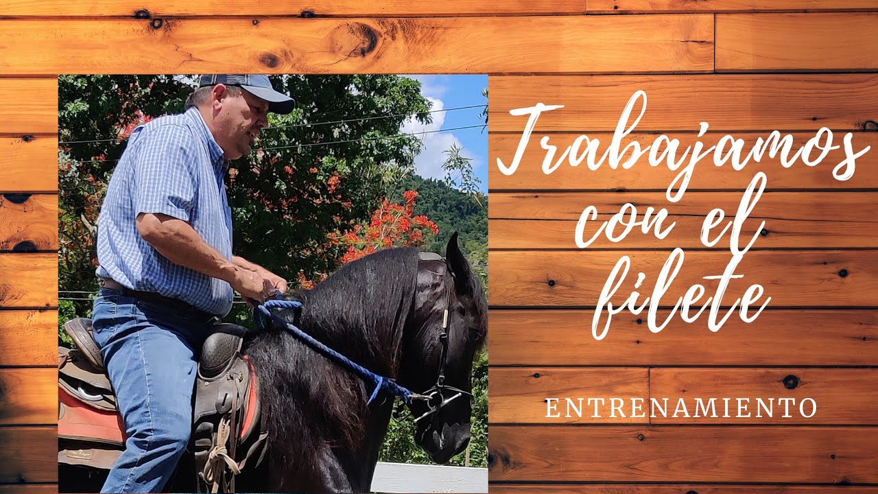 TRABAJAMOS CON EL FILETE
