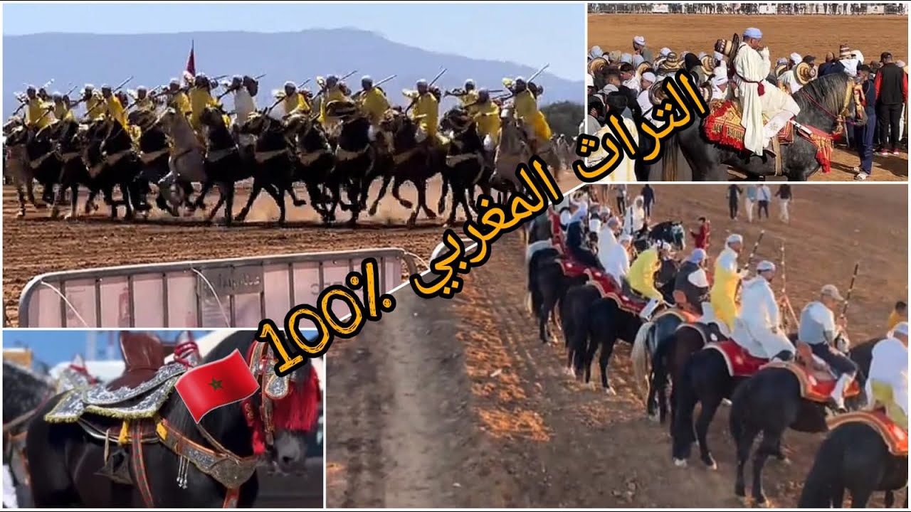 إلى عشاق الخيل والتبوريدة 🐴 خرجتكم معايا تبدلو النفسية بنكهة مغربية 🇲🇦🔥