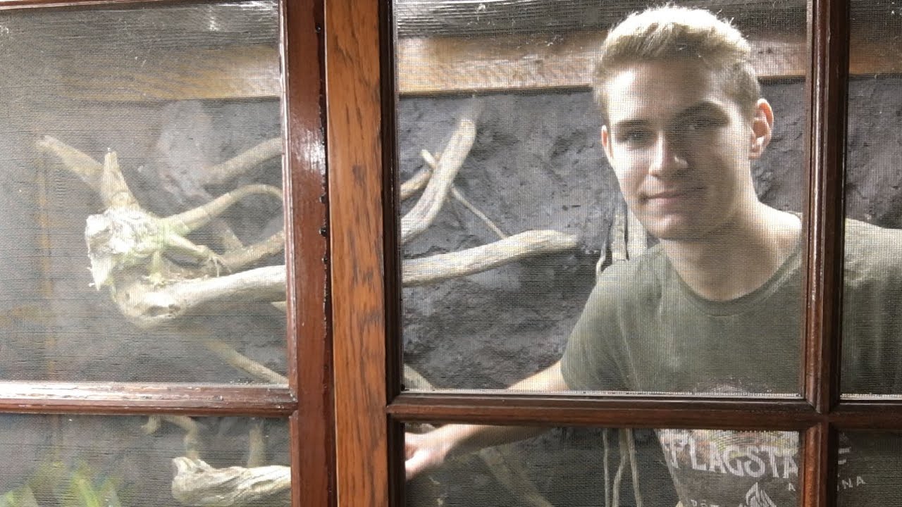 Massive Bioactive Iguana Cage!!! I Can Go Inside!!! | DIY Reptiles