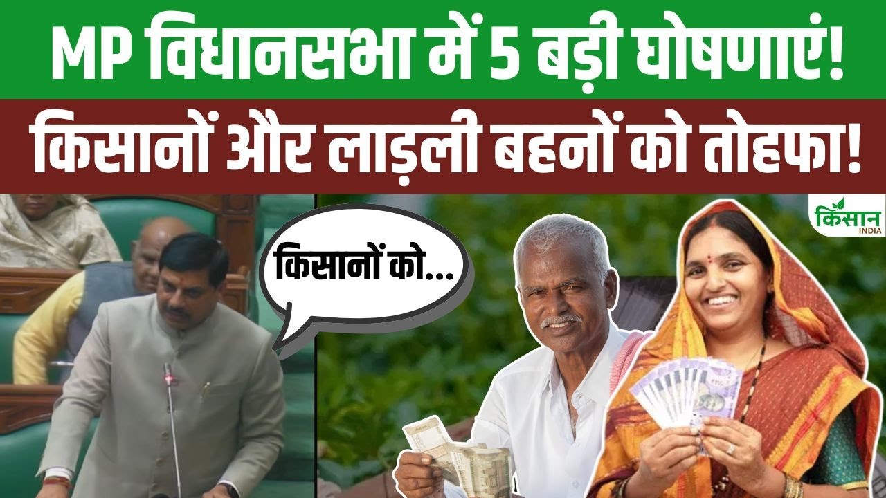 Mohan Yadav के 5 बड़े ऐलान | किसानों और बहनों को दी बड़ी सौगात! | Ladli Behna | MP Vidhansabha