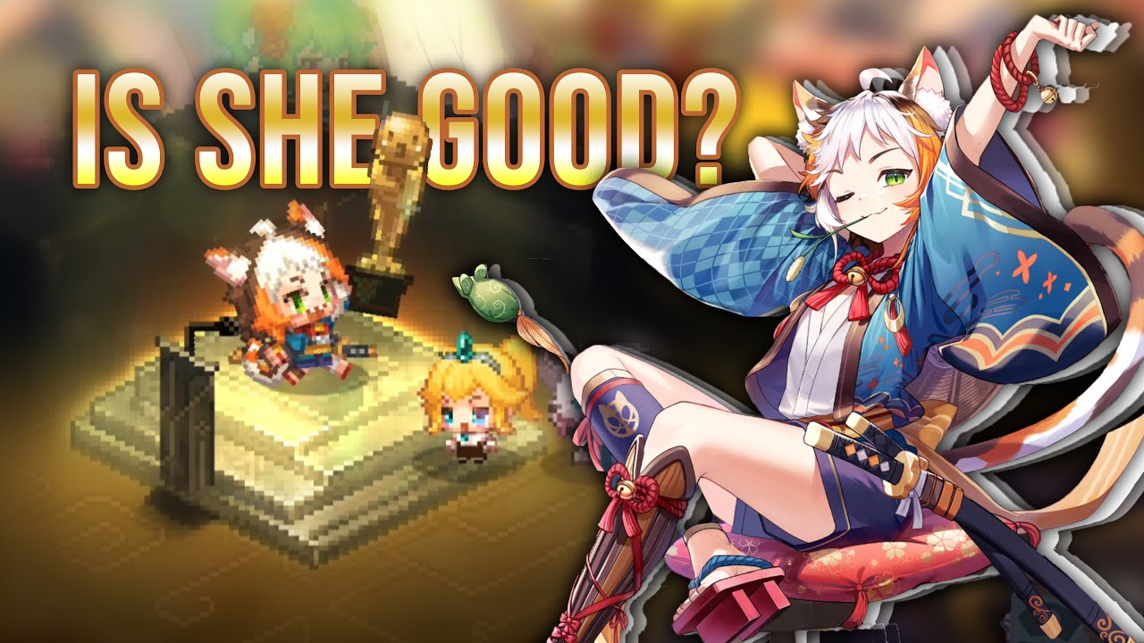 A *NEW* CAT HERO HAS ARRIVED!! | 