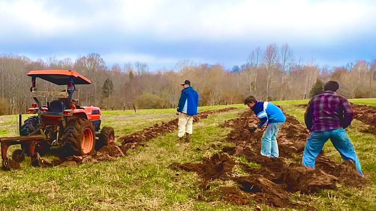 Potato planting on a hillside in February!