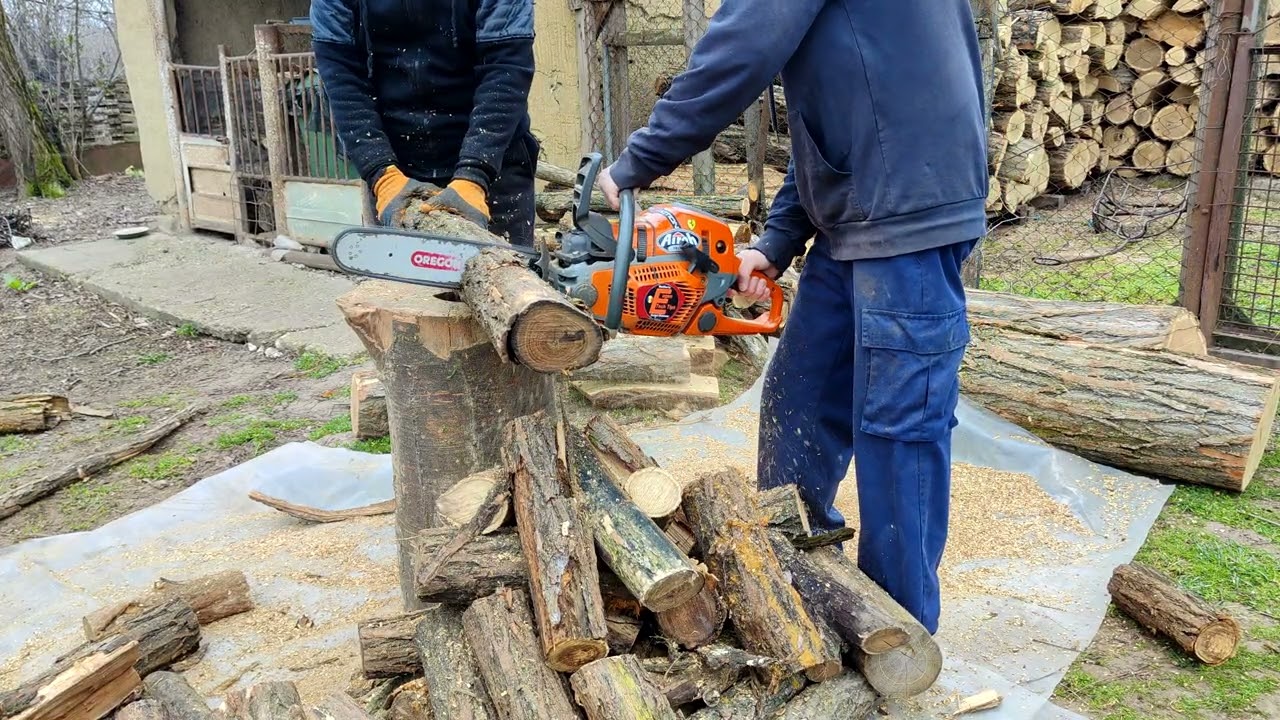 Tăiem lemne subțiri de salcâm cu Husqvarna 