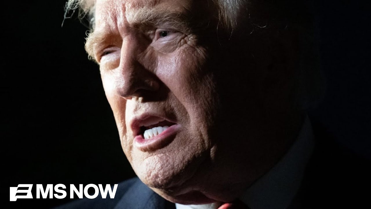 'The epitome of the swamp': Ex-Trump staffer describes hypocritical stance on Epstein files