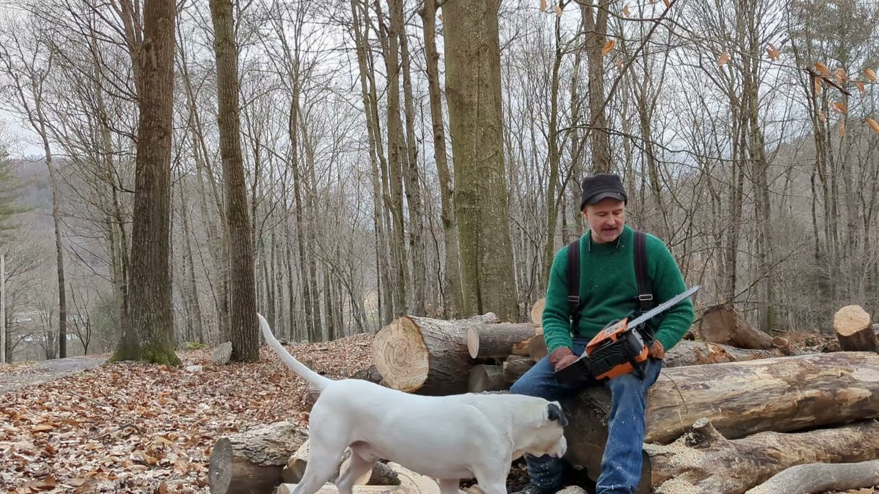 farmertec g180 Stihl ms180 clone.. g366 ms361 update