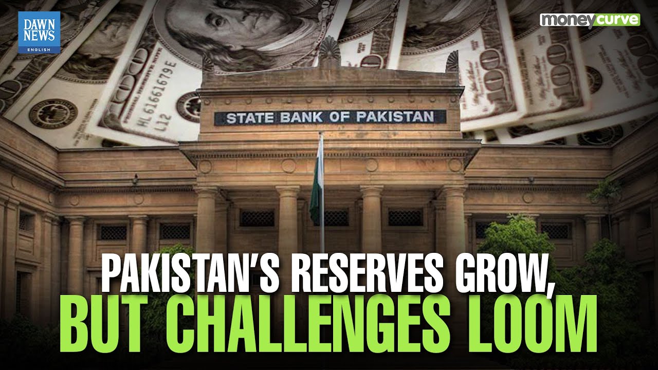 Pakistan&rsquo;s Forex Reserves Rise But Momentum Slows | SBP Adds $4.2bn in Reserves in 2025 | Dawn News