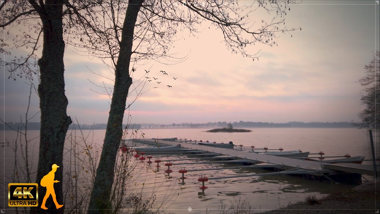 Peaceful Morning Walk at Sunrise 🚶 Vanhankylänniemi, Finland