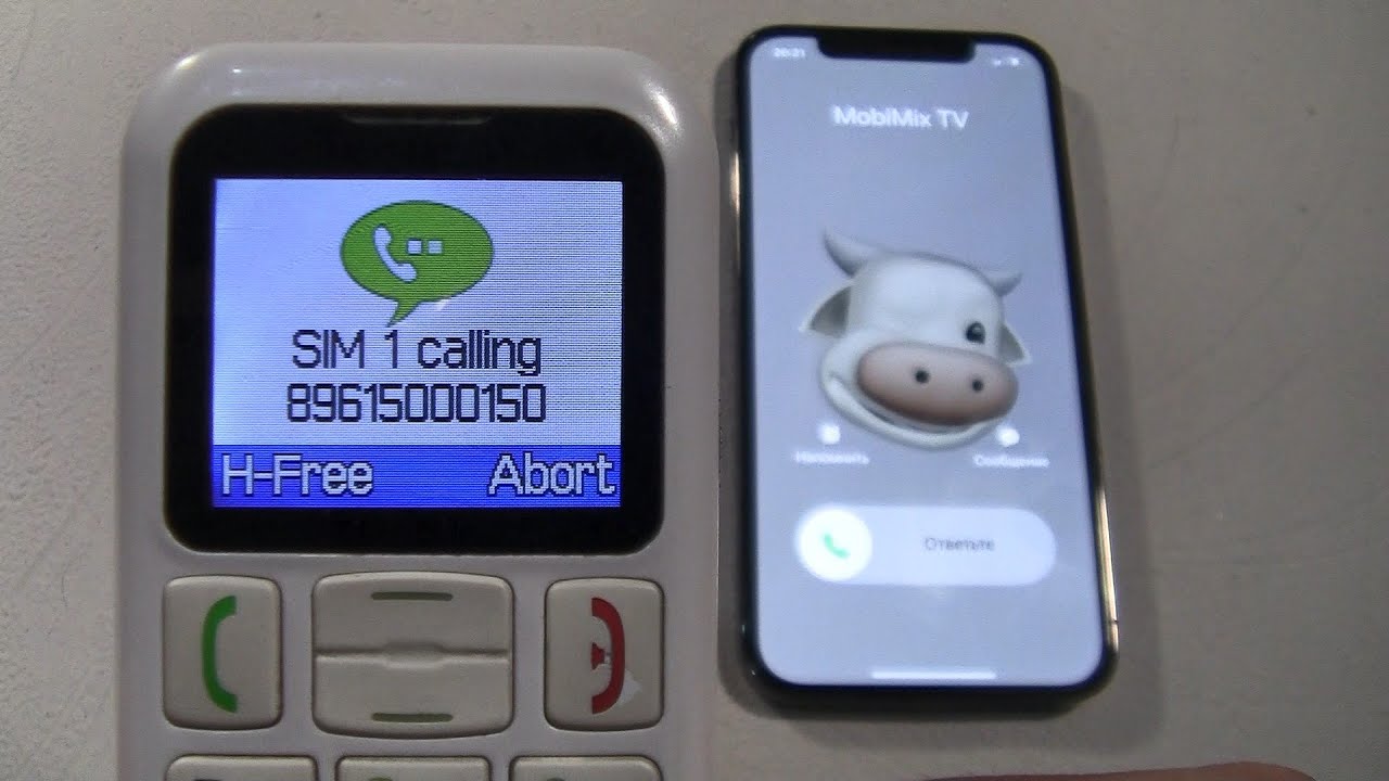 Incoming call & Outgoing call at the Same Time Fly Ezzy 5 white +iPhone 12 Pro