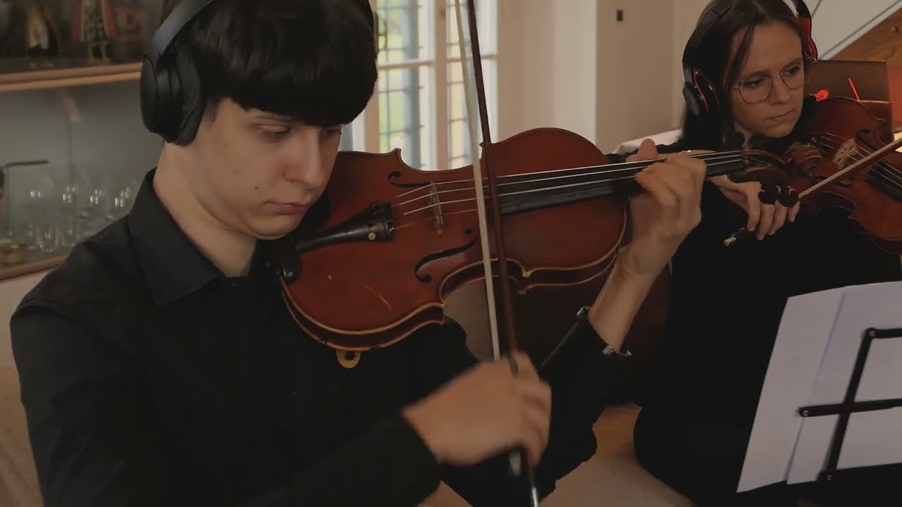 Hinterland (Sextuor For Four Violins, Cello And Bass)