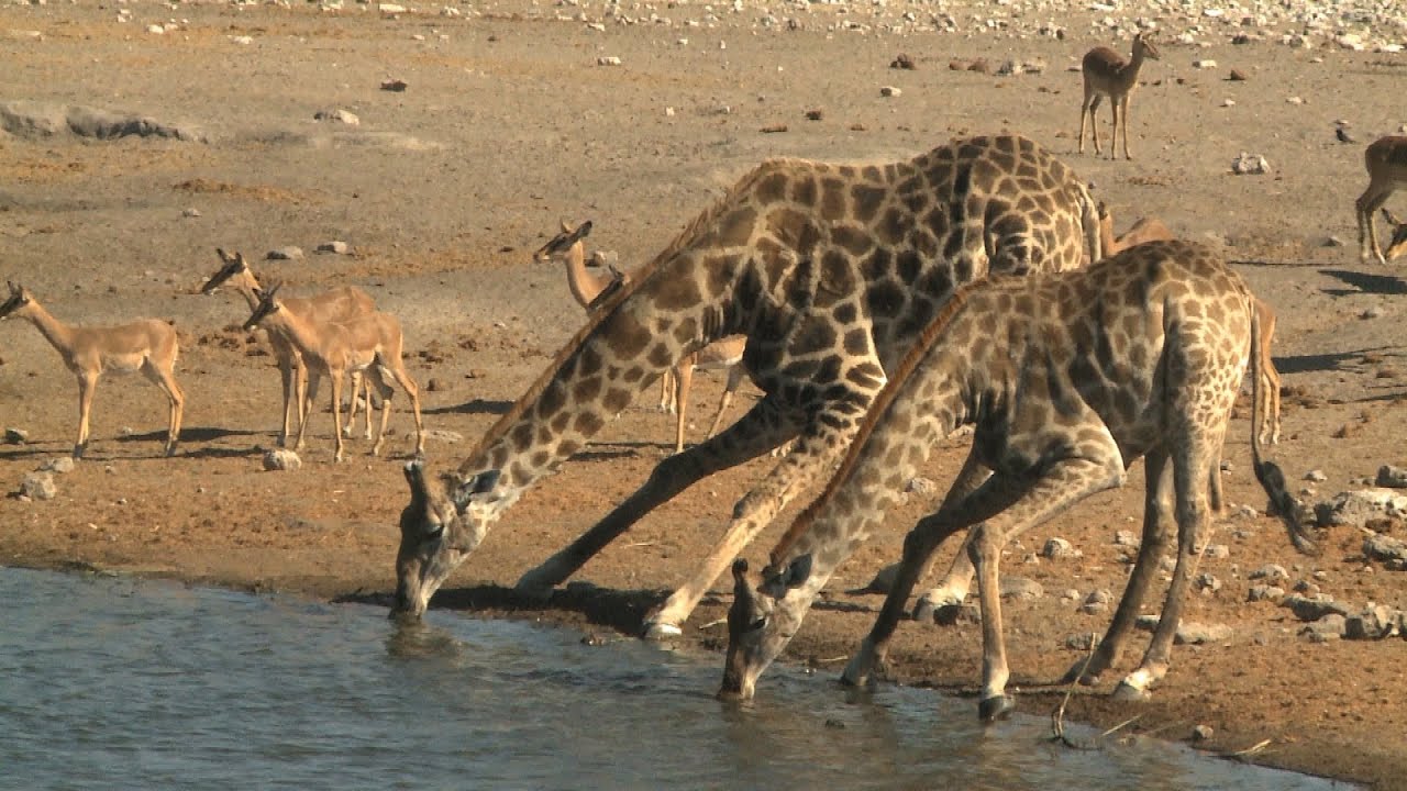 Namibia's New Groundwater Treasure - The Ohangwena II Aquifer