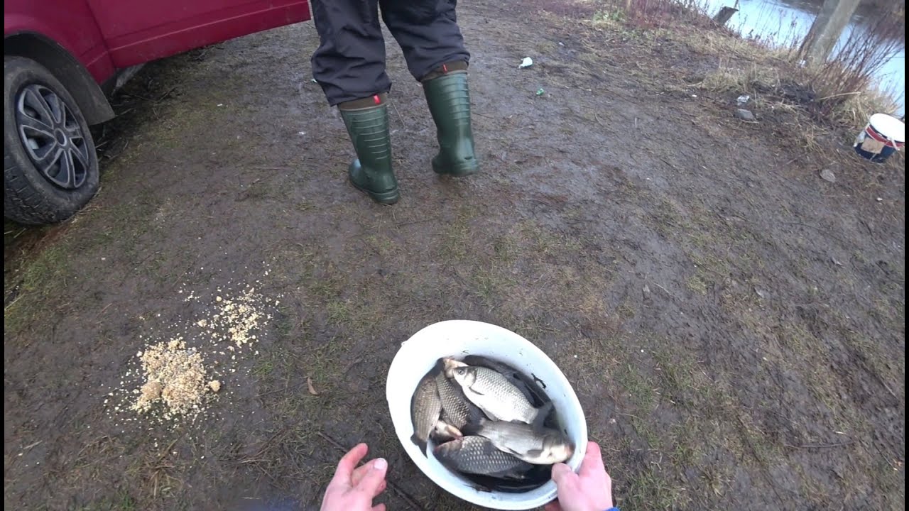 Бурштин 1 січня 2022. Відкрив сезон 🐟🐟🐟