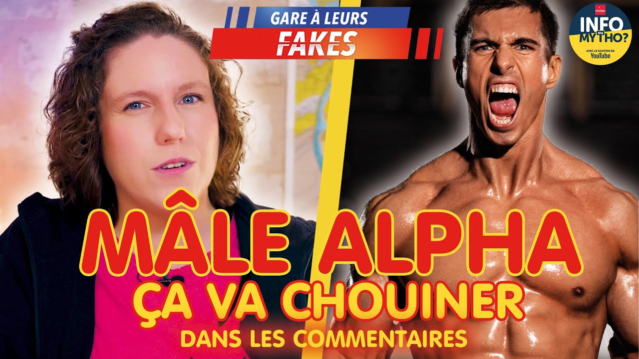 Les mythes masculinistes  / Gare à leurs fakes - Info ou Mytho