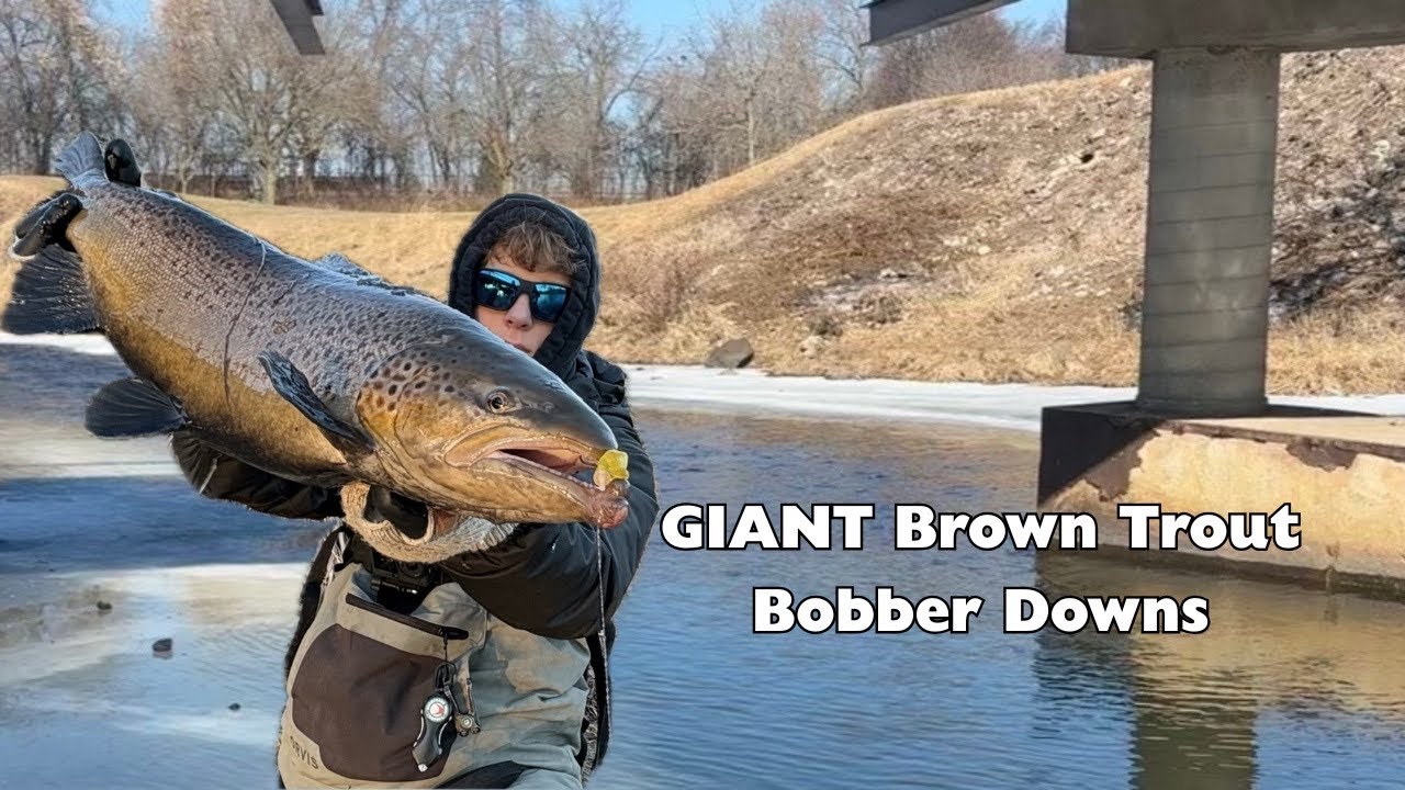 Float Fishing Tributaries For GIANT Brown Trout