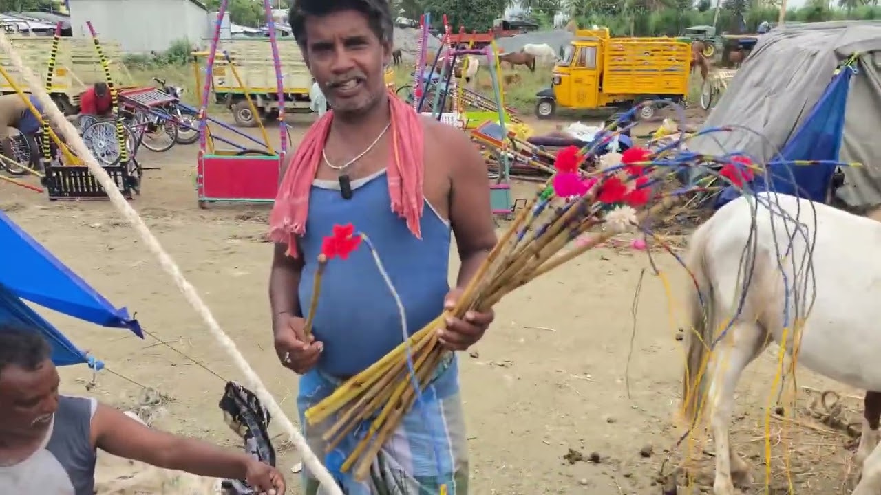 10.08.2025 naal அந்தியூர் திருவிழா அப்டேட் |Anthiyur Festival Update 