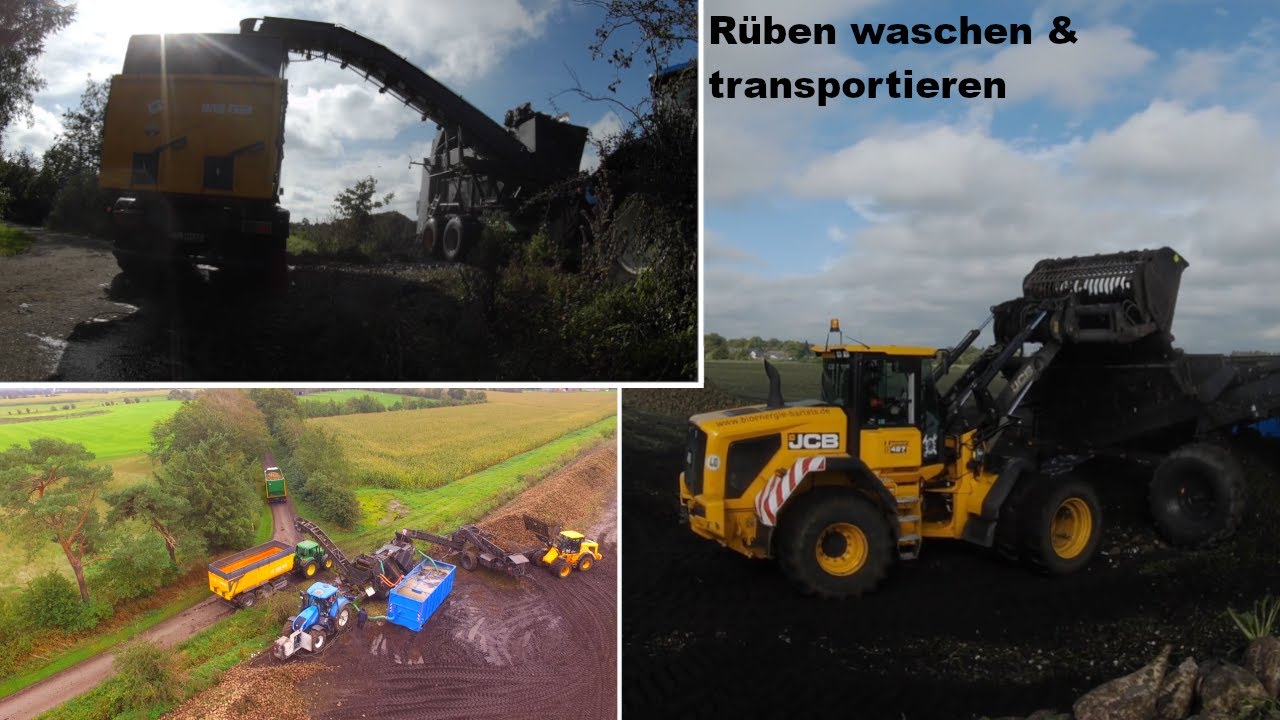 Rüben waschen & Abtransportieren|- Oster-Ohrstedt