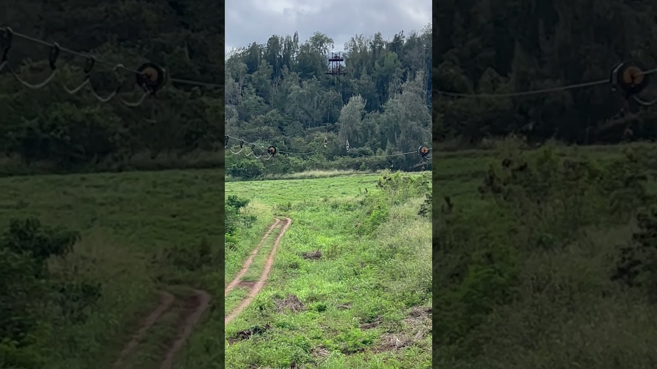 700 meter Zip line over a valley in North Shore, Oahu, Hawaii