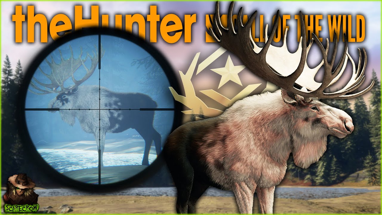 Hunting The Fabled Two Tone Typical Rack Great One Moose! Call of the wild