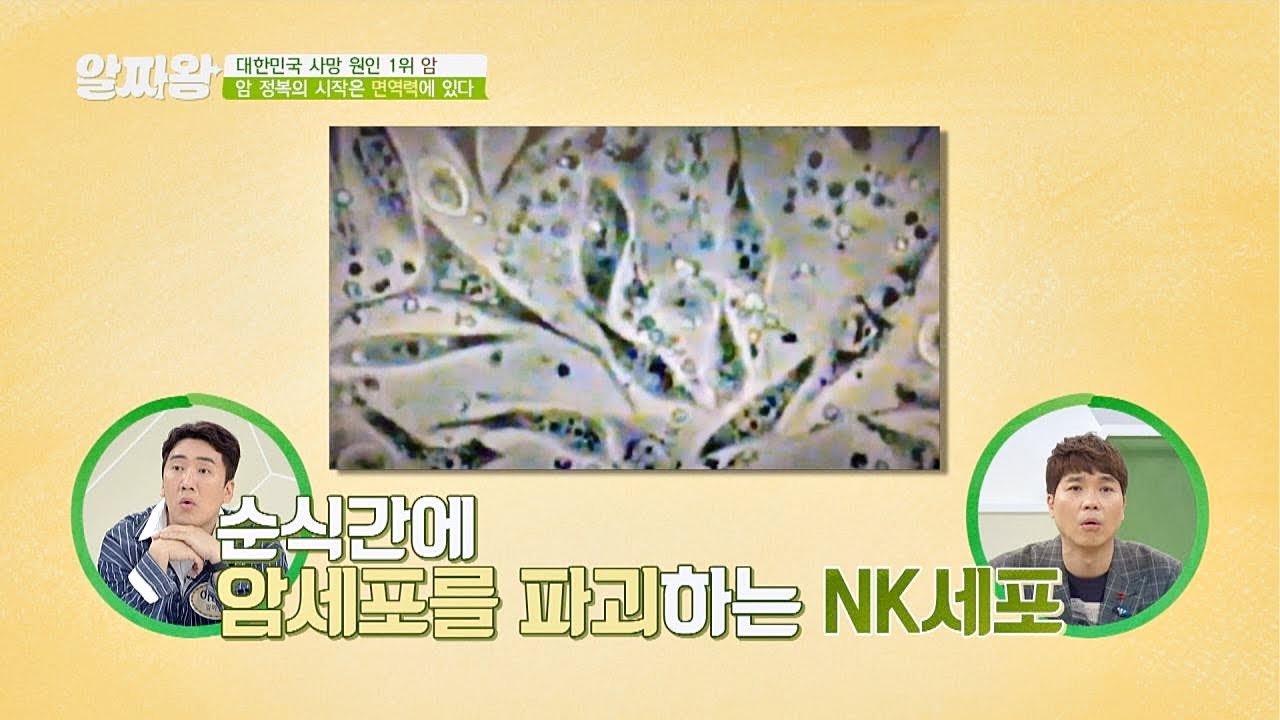 건강을 지키는 면역력， 우리 몸속의 킬러 NK세포 TV정보쇼 알짜왕(alzzaking) 141회