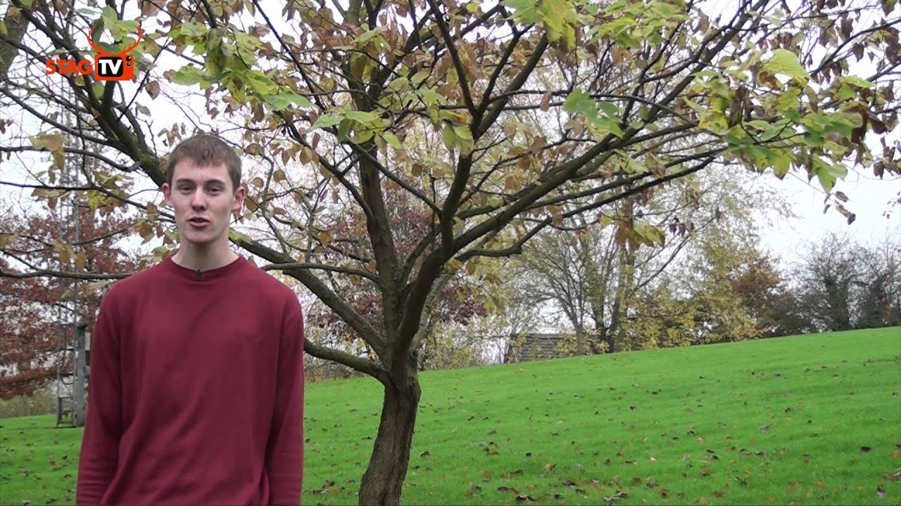 StagTV Outtakes 2014-2015