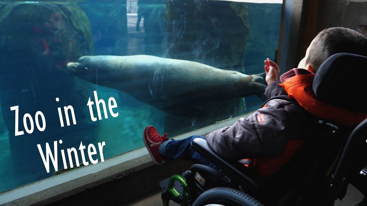Utah Hogle Zoo - Special Needs Family Vlog
