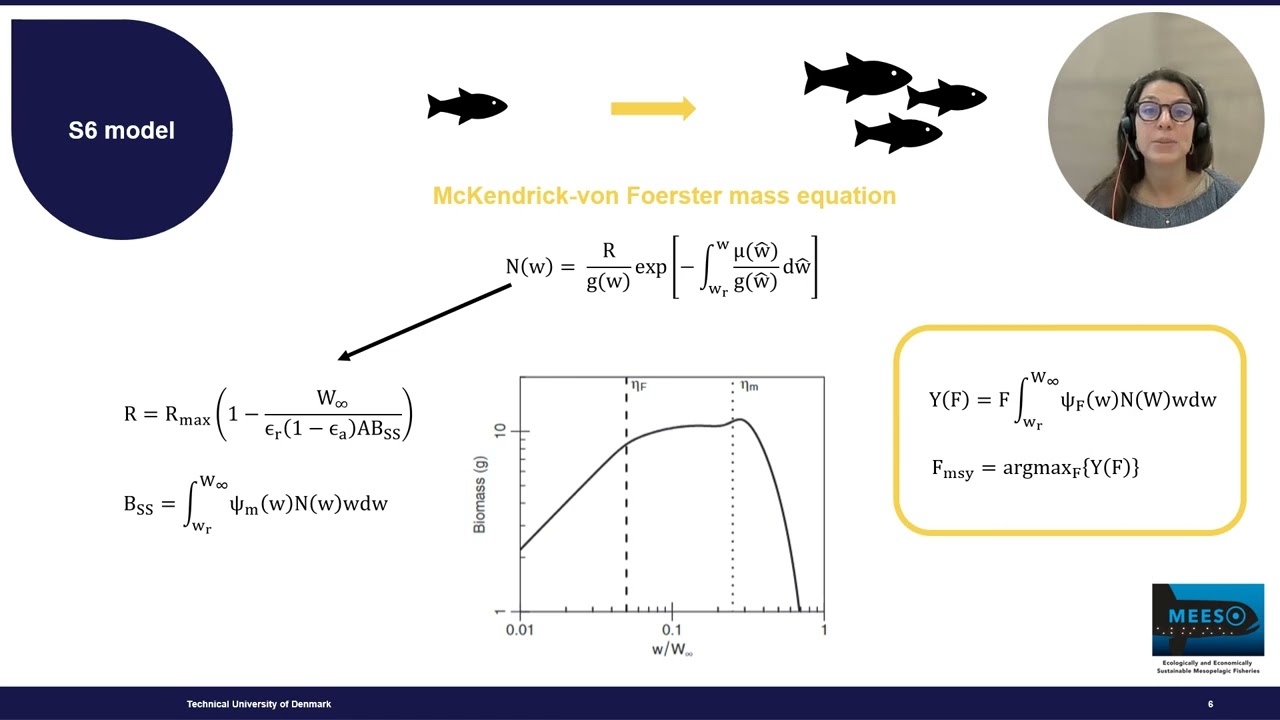 E-learning webinar: The s6 model