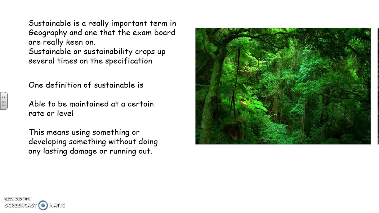 sustainable rainforest management