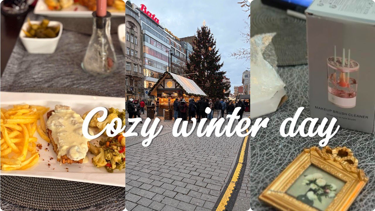 Cozy Winter Vlog aesthetic, cooking Escalop,using Temu's makeup brush cleaner,picnic christmas 🎄❄️