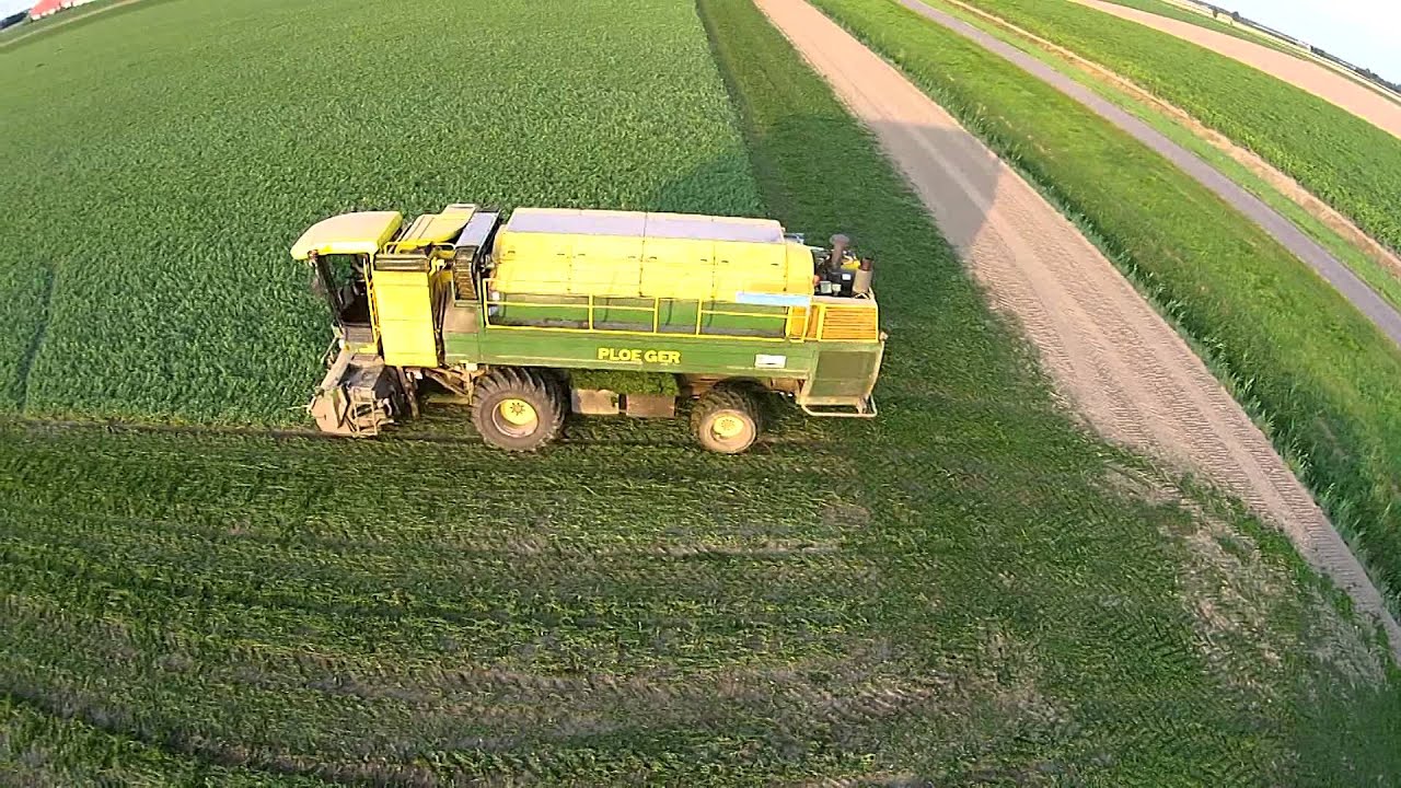 Erwten oogst 2014: 2x ploeger EPD 530 & EPD 538 dorsen door De Waard b v