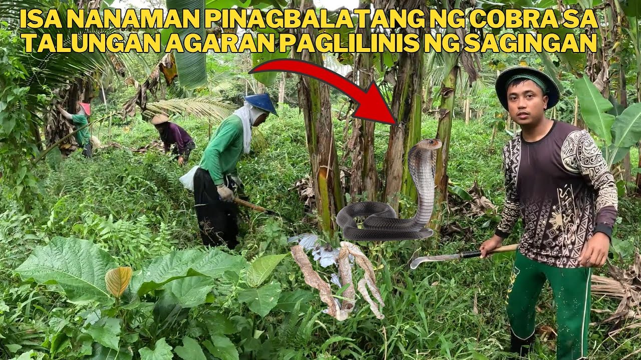 TULONG TULONG KAMING MAGKAKAPATID AT SI TATAY AT MGA KAIBIGAN PARA MADALIANG PAGLILINIS NG PALIGID