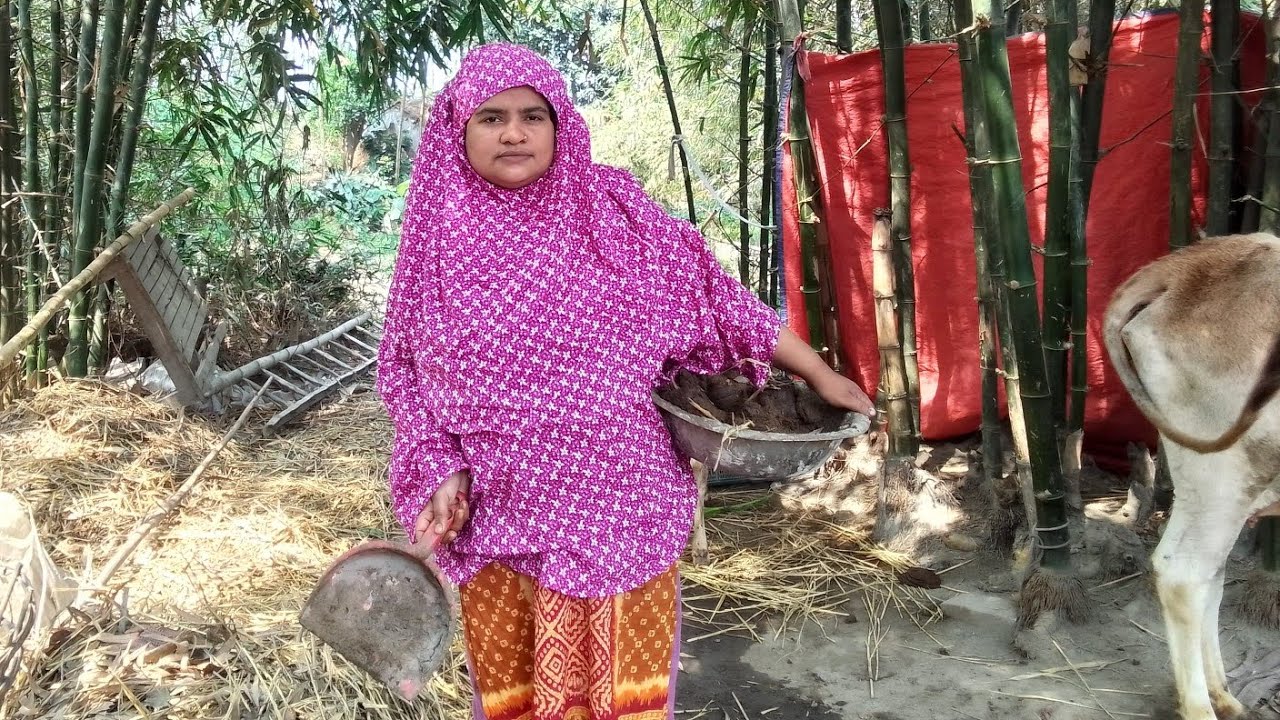 গরুর গবর ফালাচ্ছি।গবর দিয়ে ঘসি বানানো। গ্যাসের দাম অনেক বেশি।আপনারা সহলে গরু পালবেন।আমাকে লাইক দিবেন