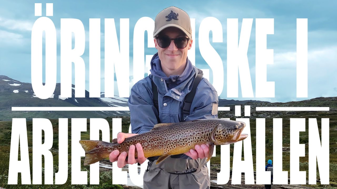 Öringfiske i Arjeplogsfjällen - Team Stoorn