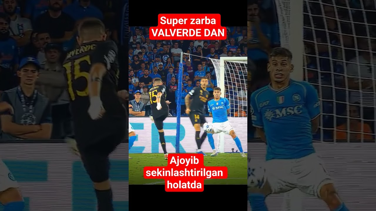VALVERDE PUSHKA 