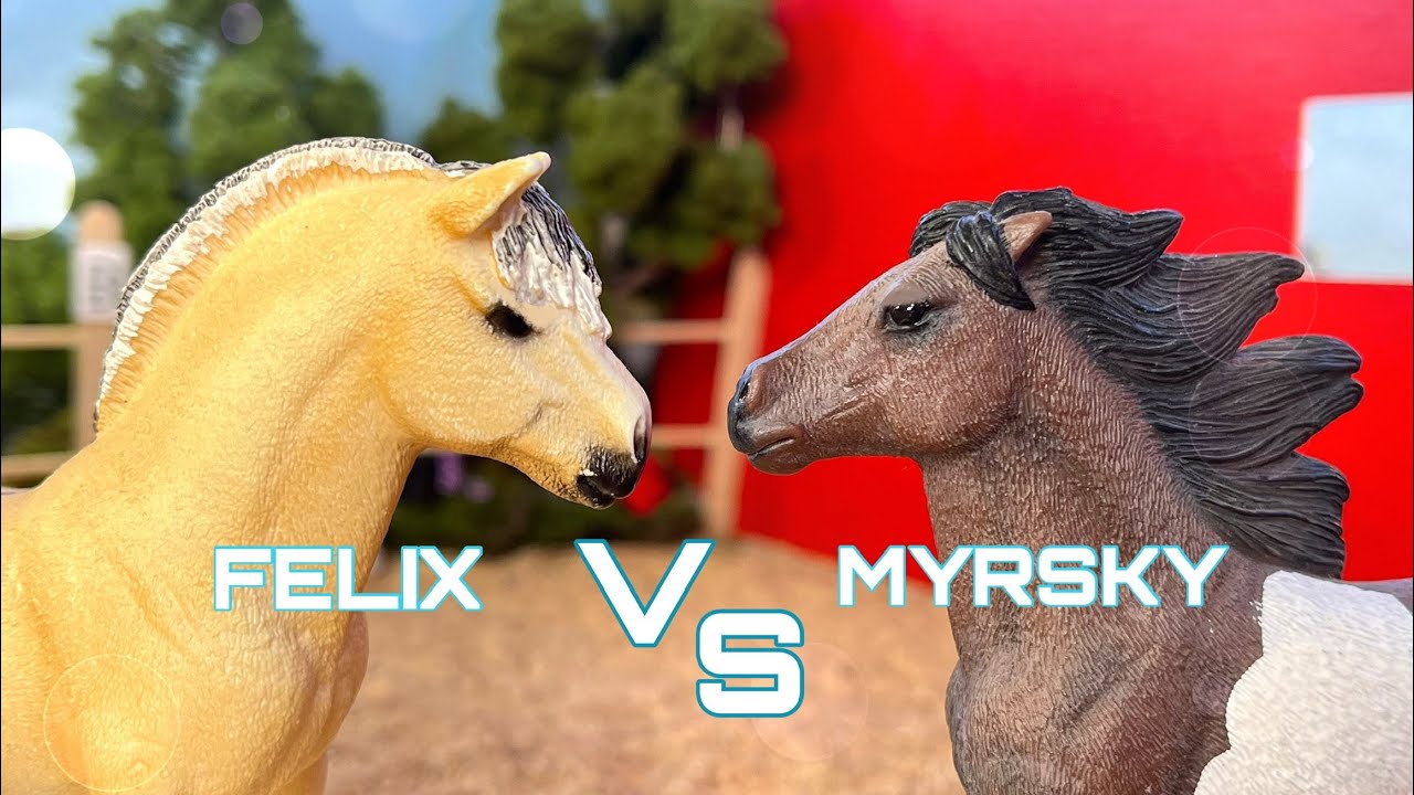 FELIX VS MYRSKY KINGITAISTELU👑
