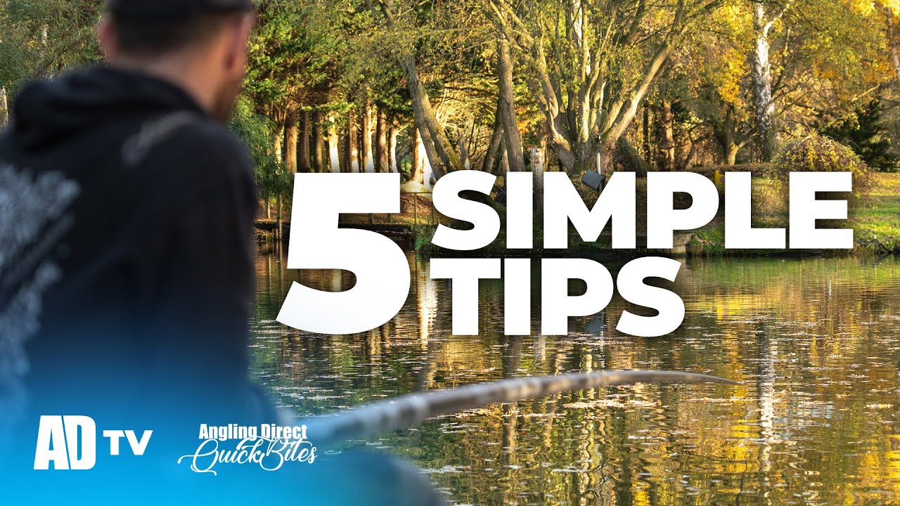 Improve Your Pole Rigs With These Top 5 Tips - Match fishing Quickbite