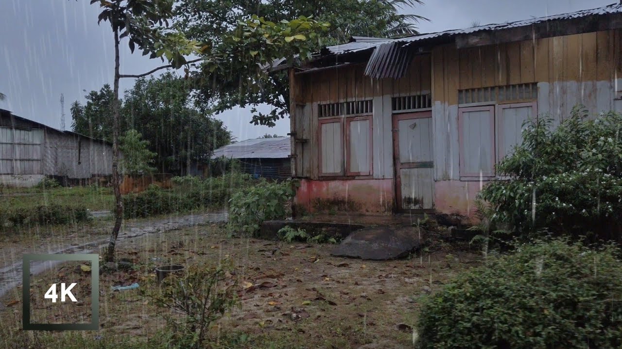 Hujan Lebat yang Indah di Desa, Inilah Cara Tidur Cepat dan Nyenyak