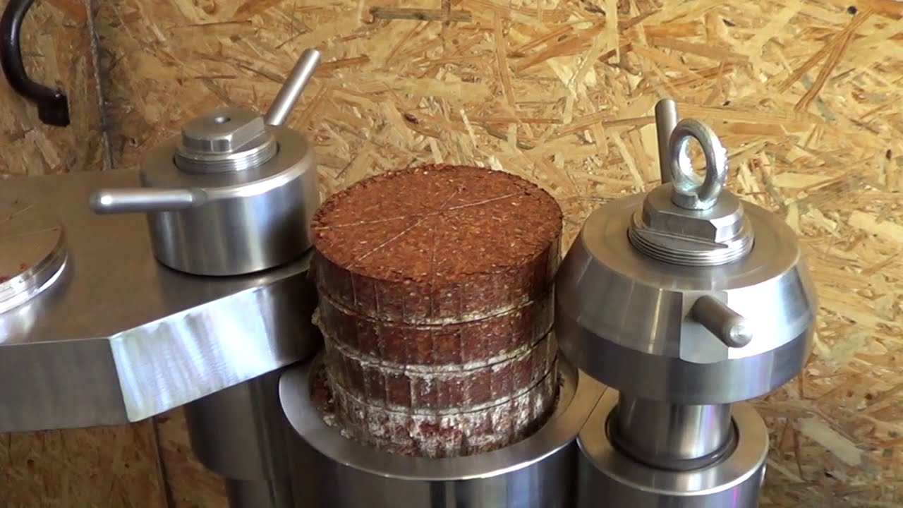 Масло льна, маслопресс холодного отжима, cold pressed oil press