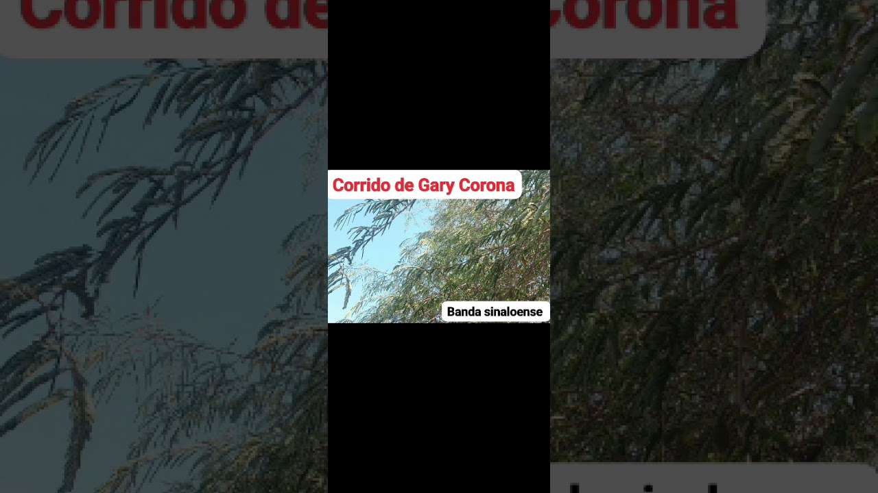 Corrido de Gary Corona 