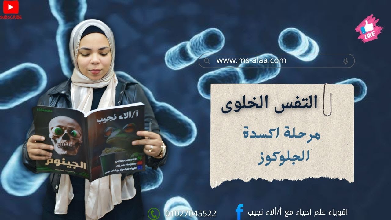2ثانوي أكسدة الجلوكوز _ التنفس الخلوي _ التنفس الهوائي واللاهوائي ومسائلهم 