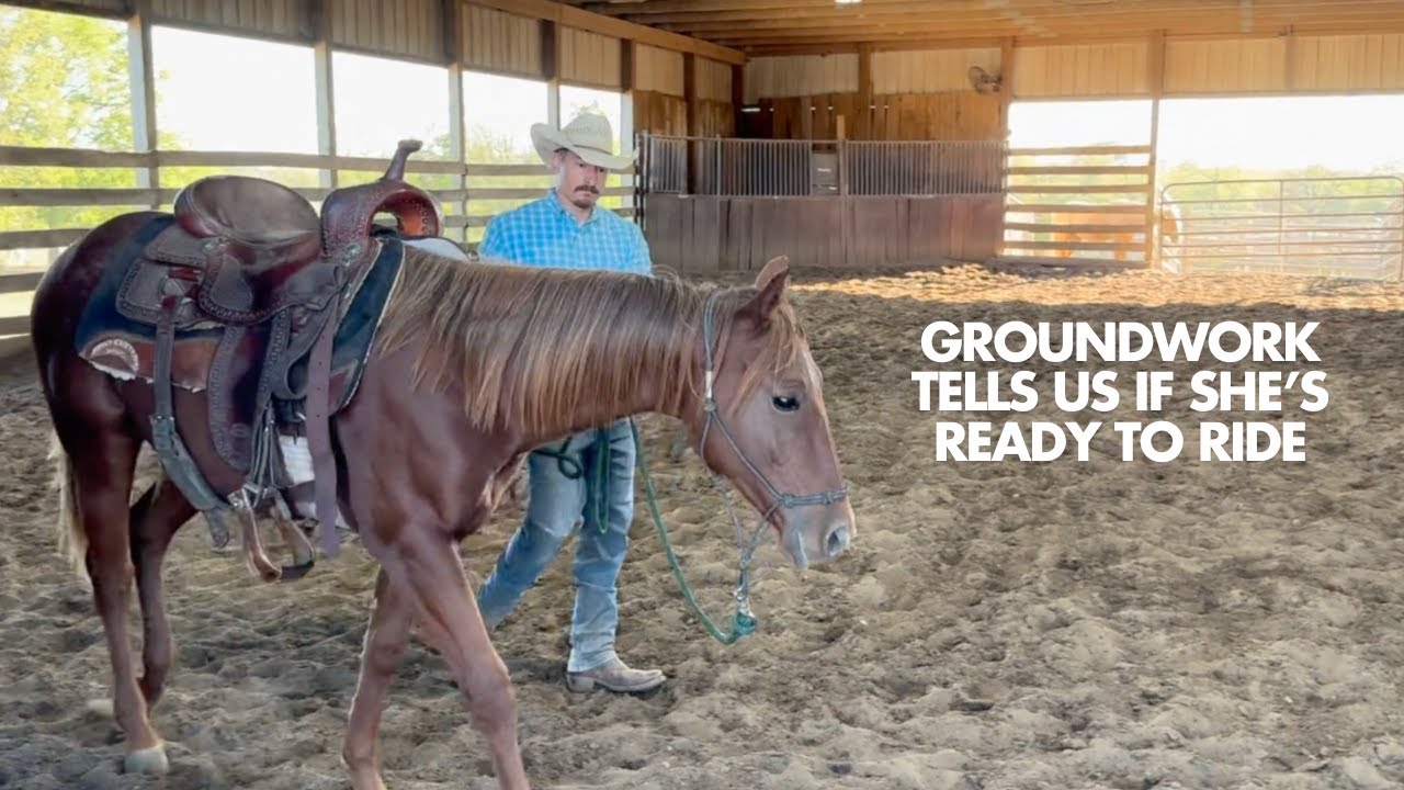 D/C Colt Shows Us She’s Ready To Ride During Groundwork