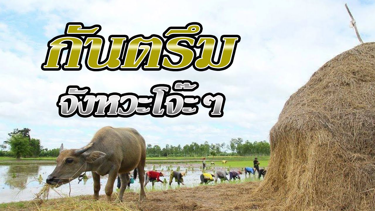 กันตรึม จังหวะโจ๊ะๆ - กันตรึมอีสานใต้