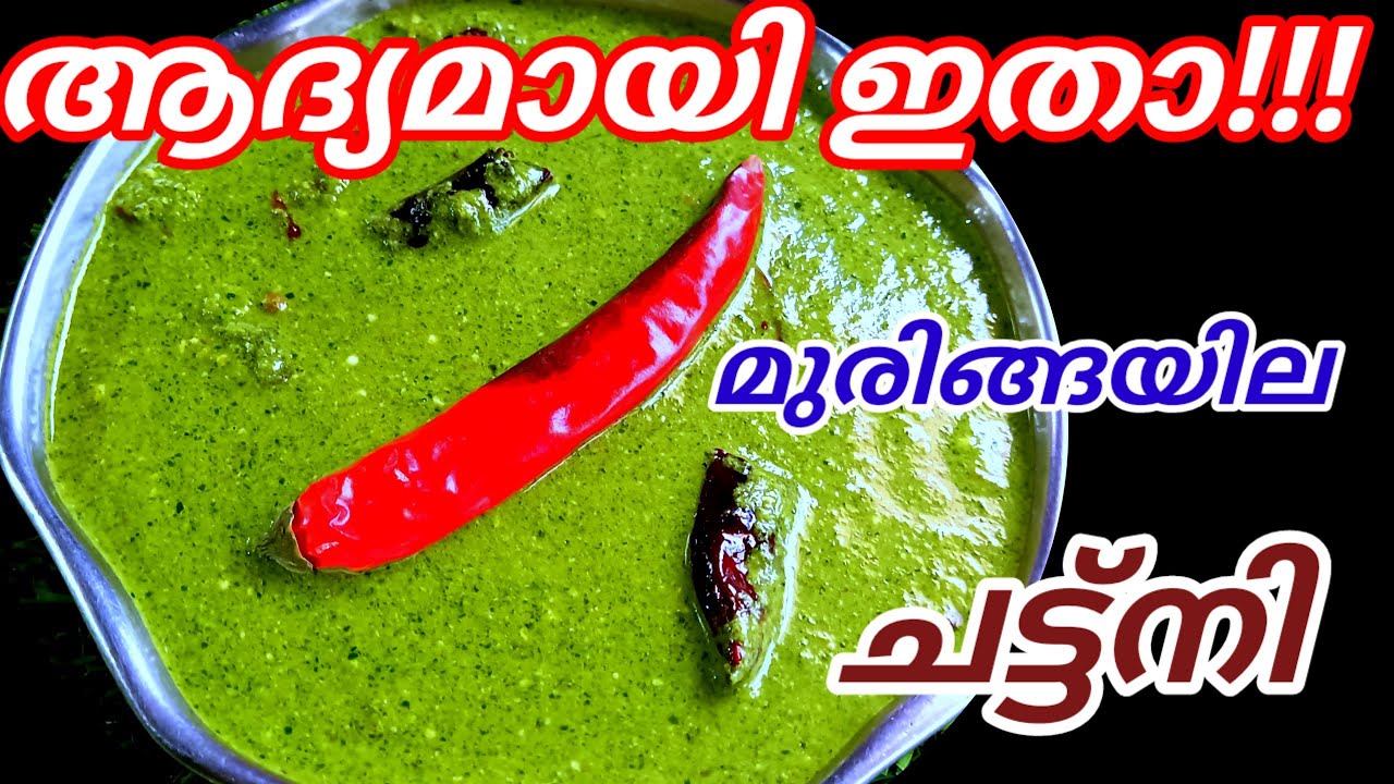 ചൂട് അപ്പത്തിനും ,പൂരി, ചപ്പാത്തി എന്നിവയ്ക്ക് ഒപ്പം കഴിക്കാൻ കിടിലം ചട്ട്നി/Kerala recipe