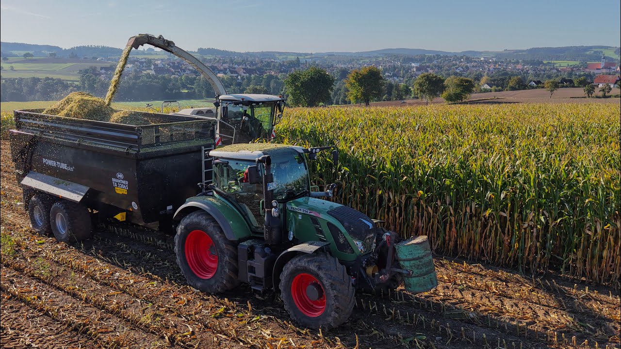 Maishäckseln 2025 für Milchviehbetrieb | Lohnunternehmen Baumer im Einsatz | Claas Jaguar 870