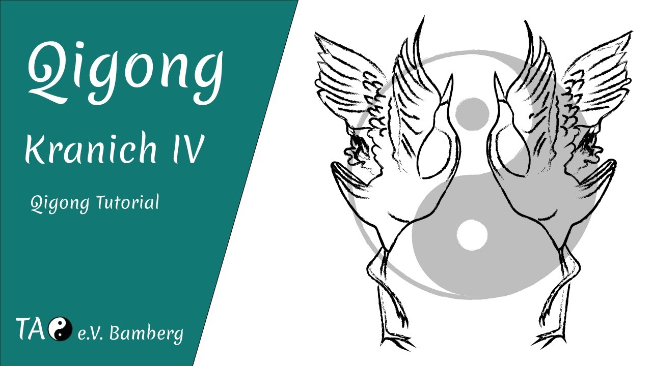Gemeinsam Qigong: Der fliegende Kranich IV